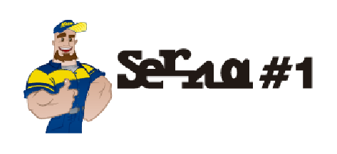 Logo_Llantas y Servicios Serna S A de C V-